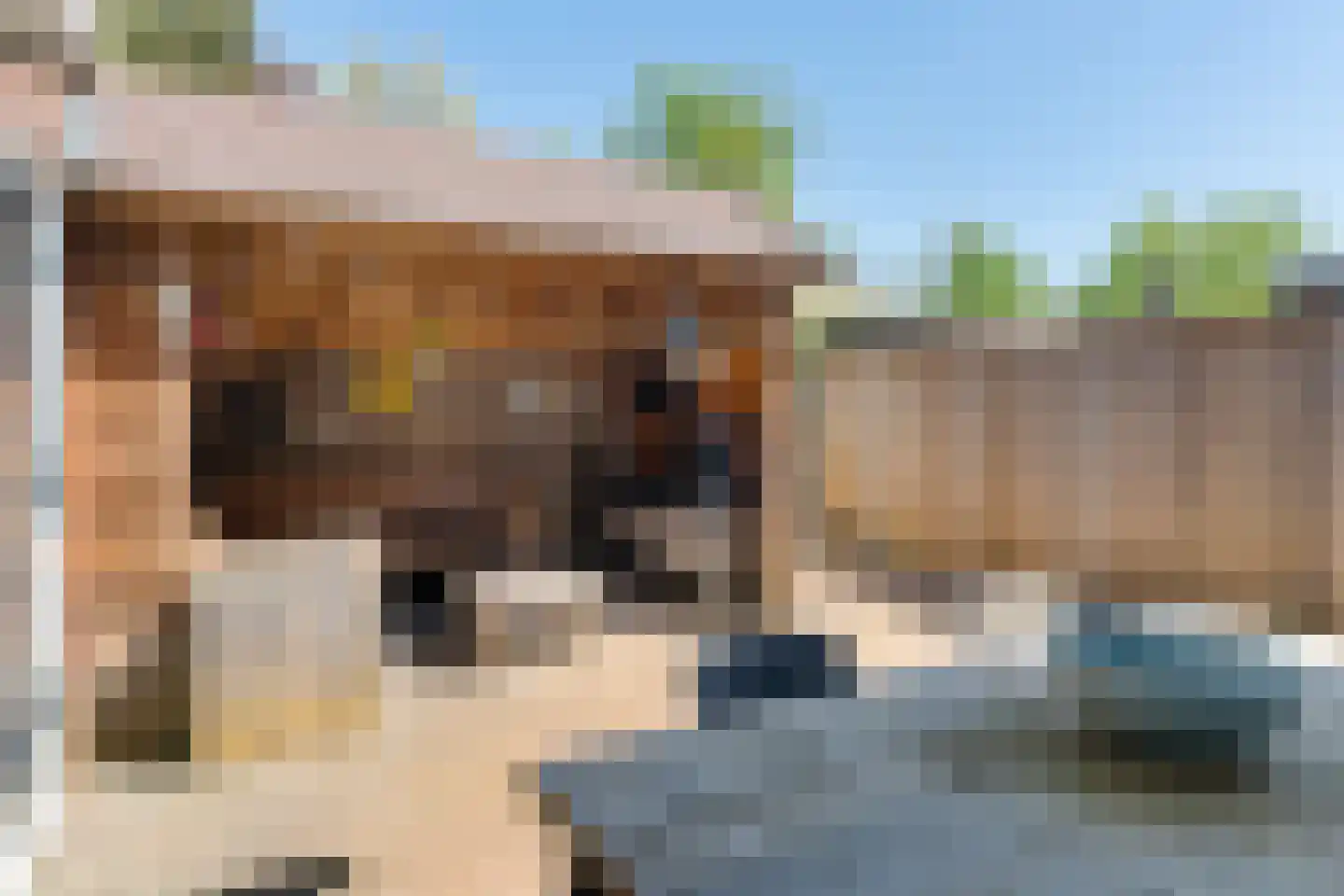 Gezinastraat 3 Hengelo thumbnail 29