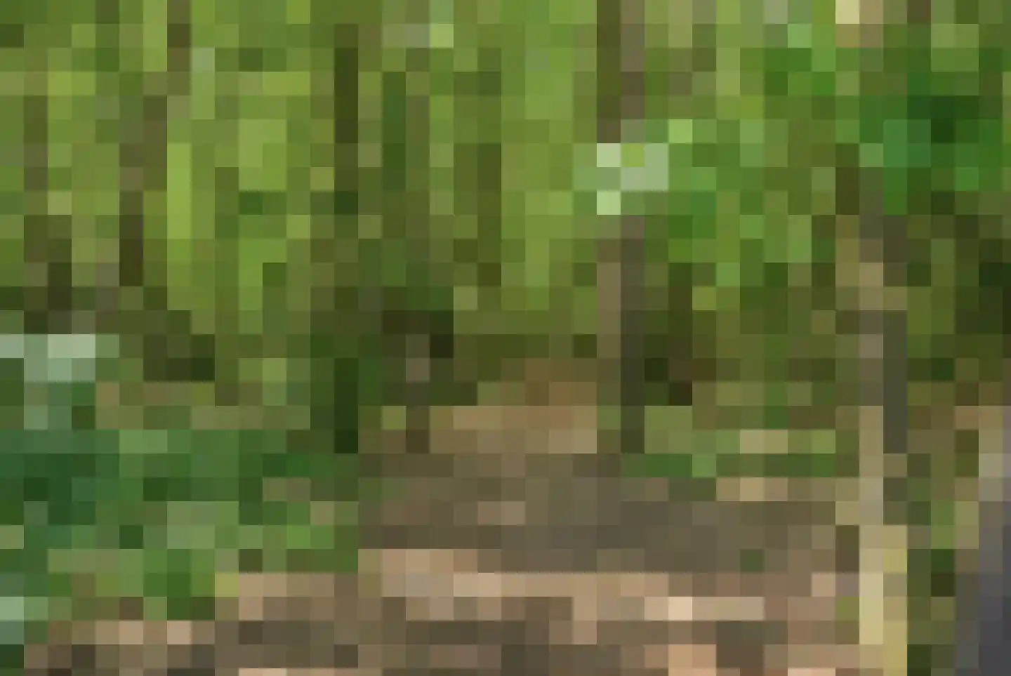 Gheer 14 Mill thumbnail 39