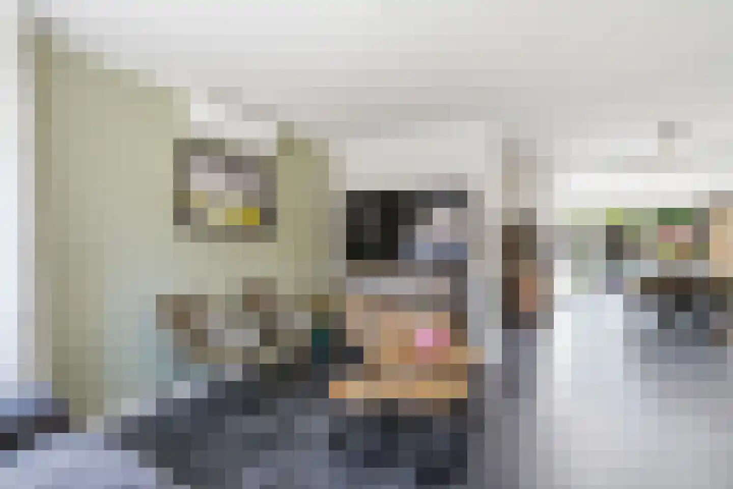 Gheer 14 Mill thumbnail 6