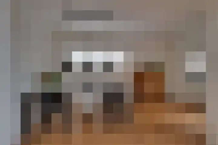 Ghijseland 158 Rhoon thumbnail 14