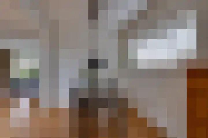 Ghijseland 158 Rhoon thumbnail 15