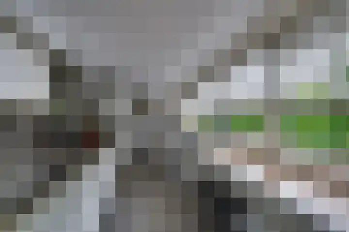 Ghijseland 158 Rhoon thumbnail 17