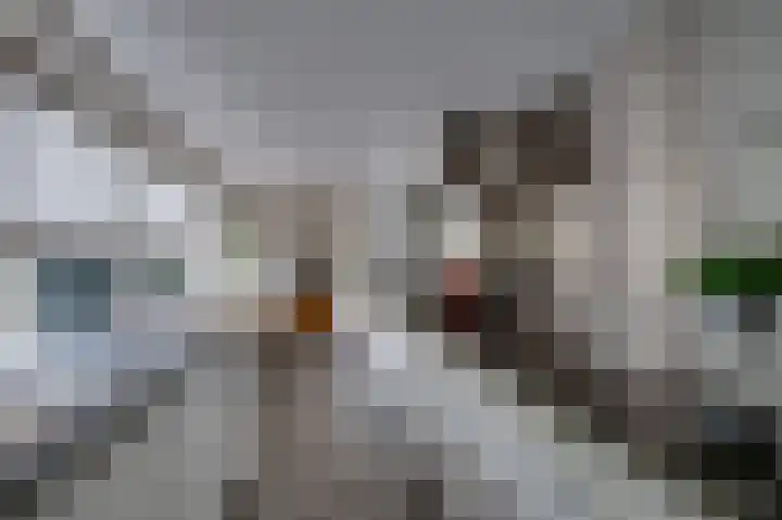 Ghijseland 158 Rhoon thumbnail 18
