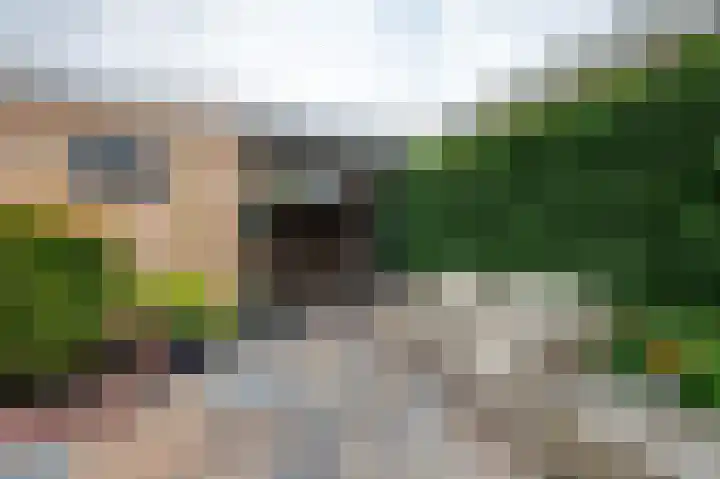 Ghijseland 158 Rhoon thumbnail 20