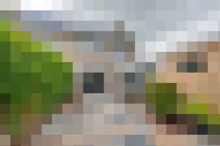 Ghijseland 158 Rhoon thumbnail 21