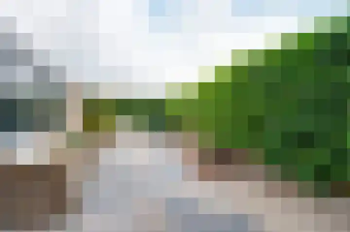 Ghijseland 158 Rhoon thumbnail 22