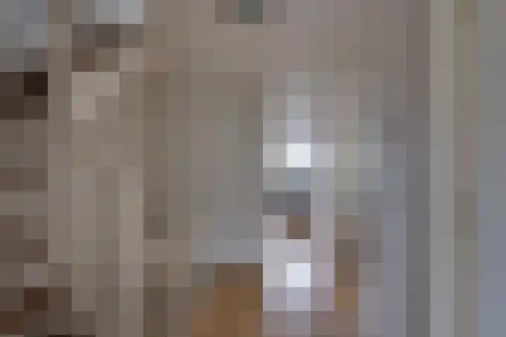 Ghijseland 158 Rhoon thumbnail 25