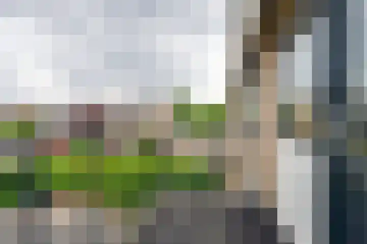 Ghijseland 158 Rhoon thumbnail 29