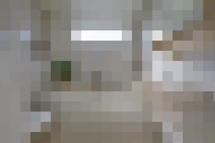 Ghijseland 158 Rhoon thumbnail 30