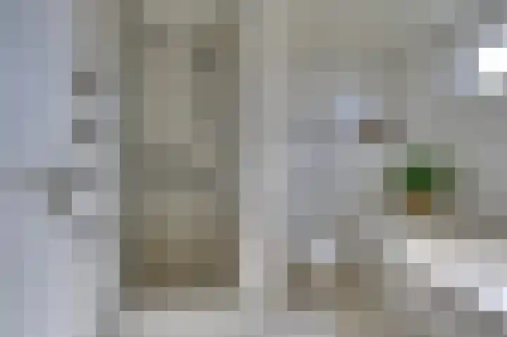 Ghijseland 158 Rhoon thumbnail 31