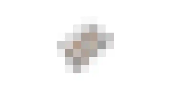 Ghijseland 158 Rhoon thumbnail 41