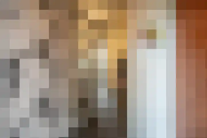 Ghijseland 160 Rhoon thumbnail 10