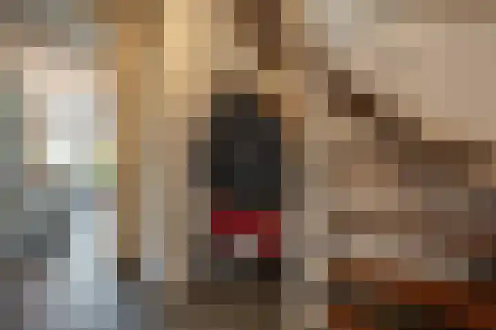 Ghijseland 160 Rhoon thumbnail 11