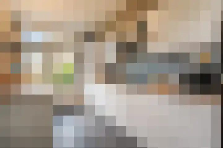 Ghijseland 160 Rhoon thumbnail 18