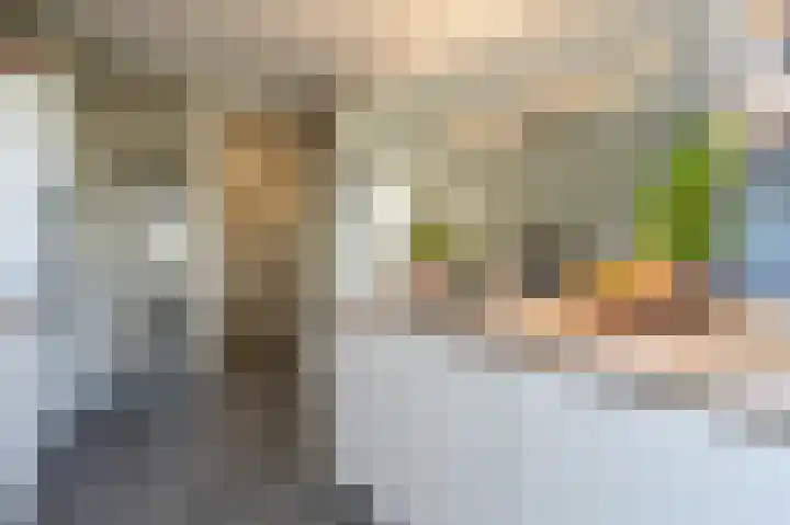 Ghijseland 160 Rhoon thumbnail 21