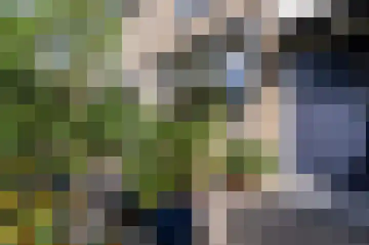 Ghijseland 160 Rhoon thumbnail 39