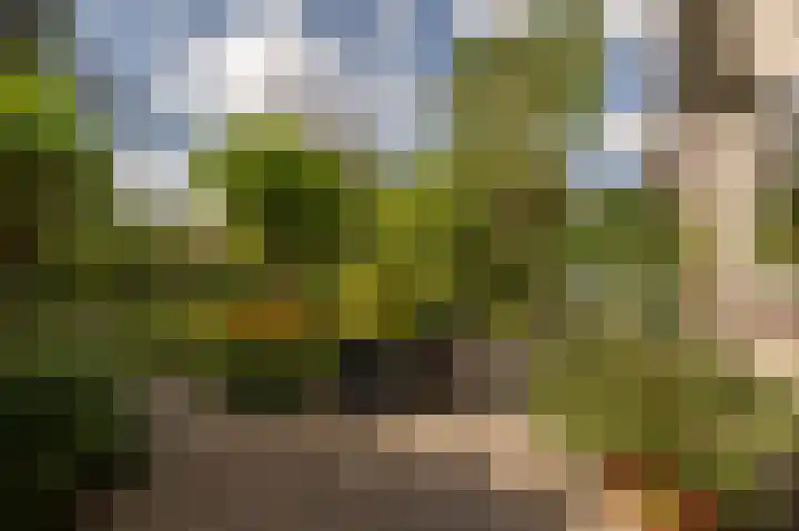 Ghijseland 160 Rhoon thumbnail 40