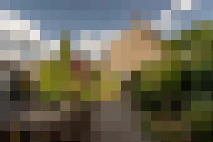 Ghijseland 160 Rhoon thumbnail 41