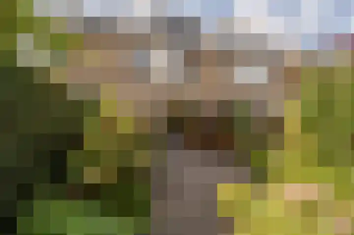 Ghijseland 160 Rhoon thumbnail 42