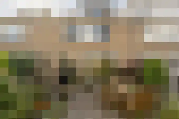 Ghijseland 160 Rhoon thumbnail 43
