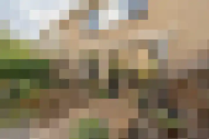 Ghijseland 160 Rhoon thumbnail 44