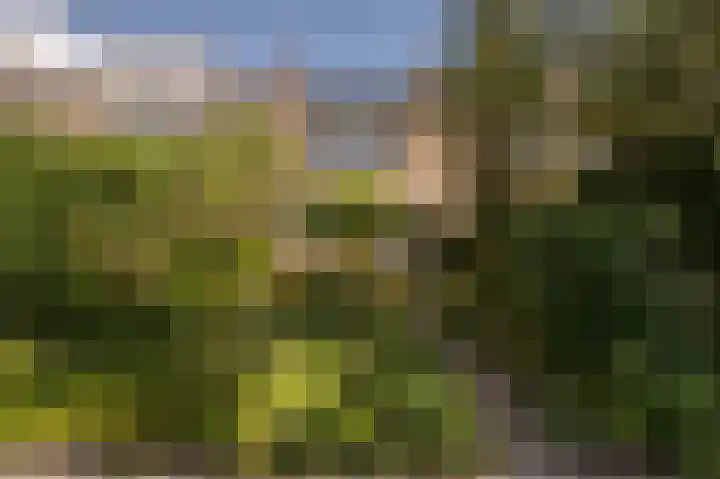 Ghijseland 160 Rhoon thumbnail 49