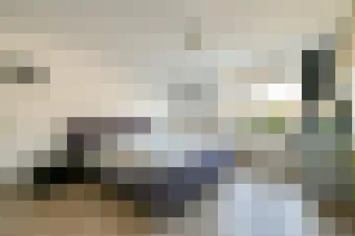 Ghijseland 161 Rhoon thumbnail 14
