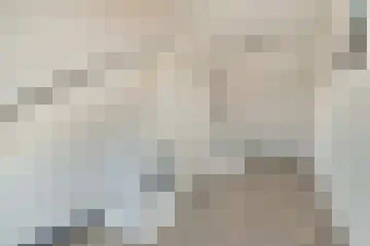 Ghijseland 161 Rhoon thumbnail 22