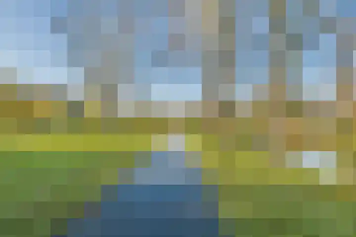 Ghijseland 161 Rhoon thumbnail 28