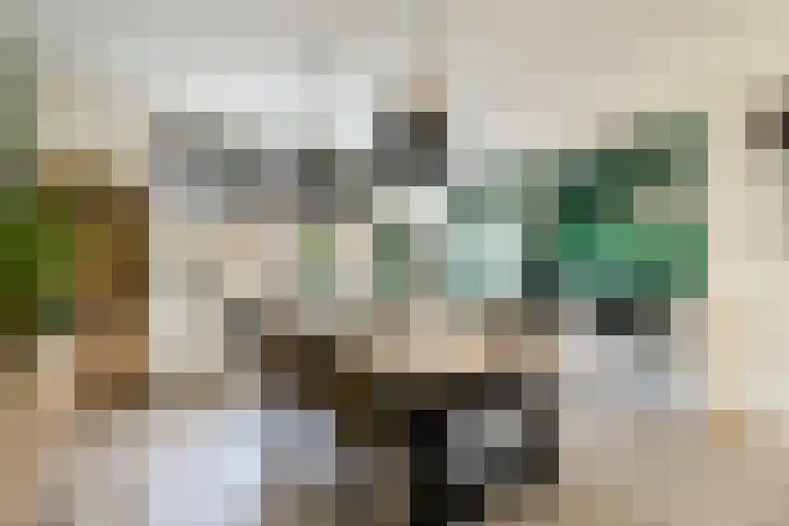 Ghijseland 161 Rhoon thumbnail 4
