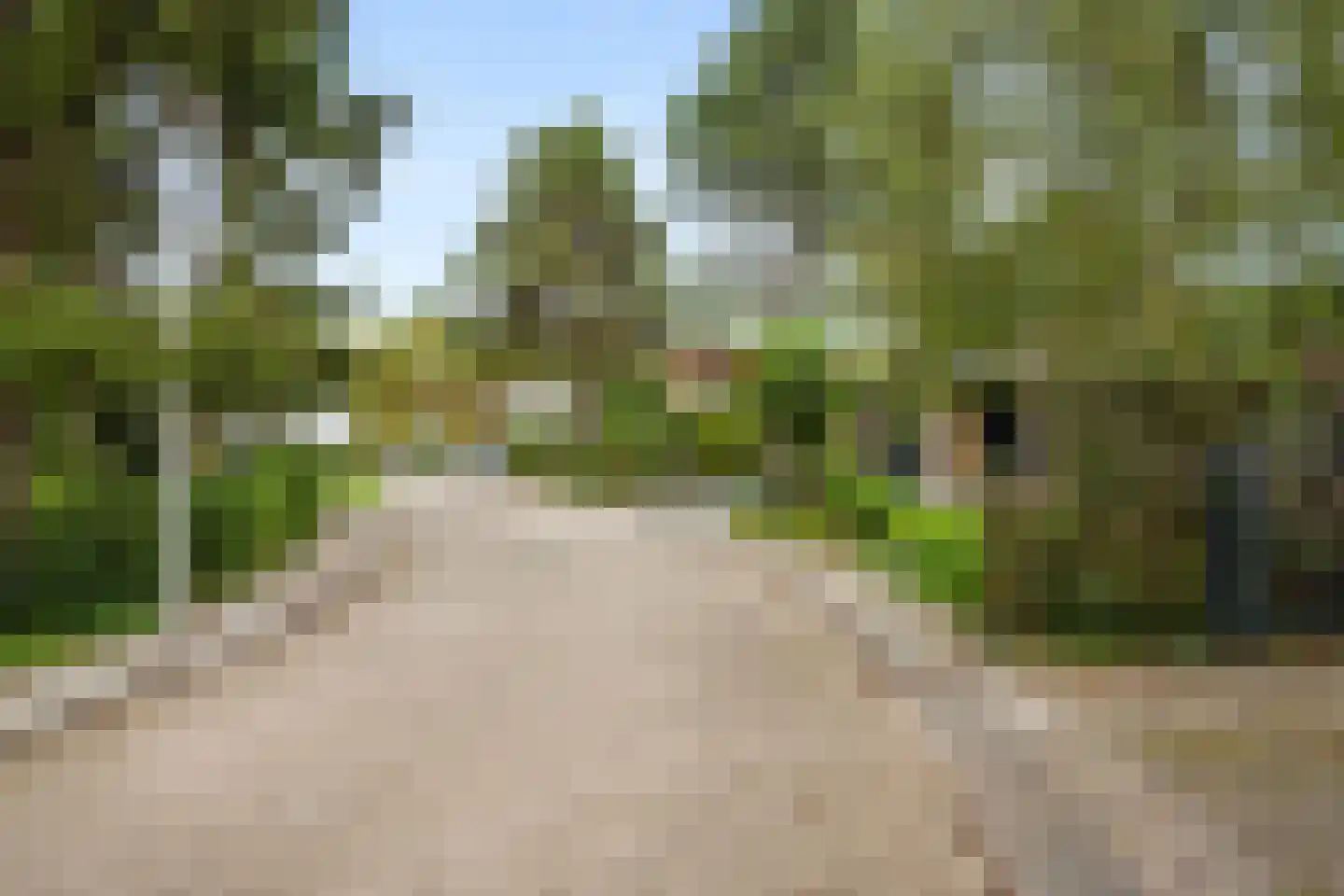 Ghijseland 173 Rhoon thumbnail 12