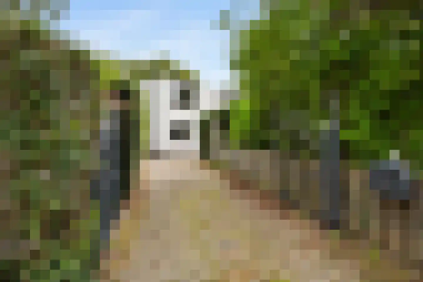 Ghijseland 173 Rhoon thumbnail 14