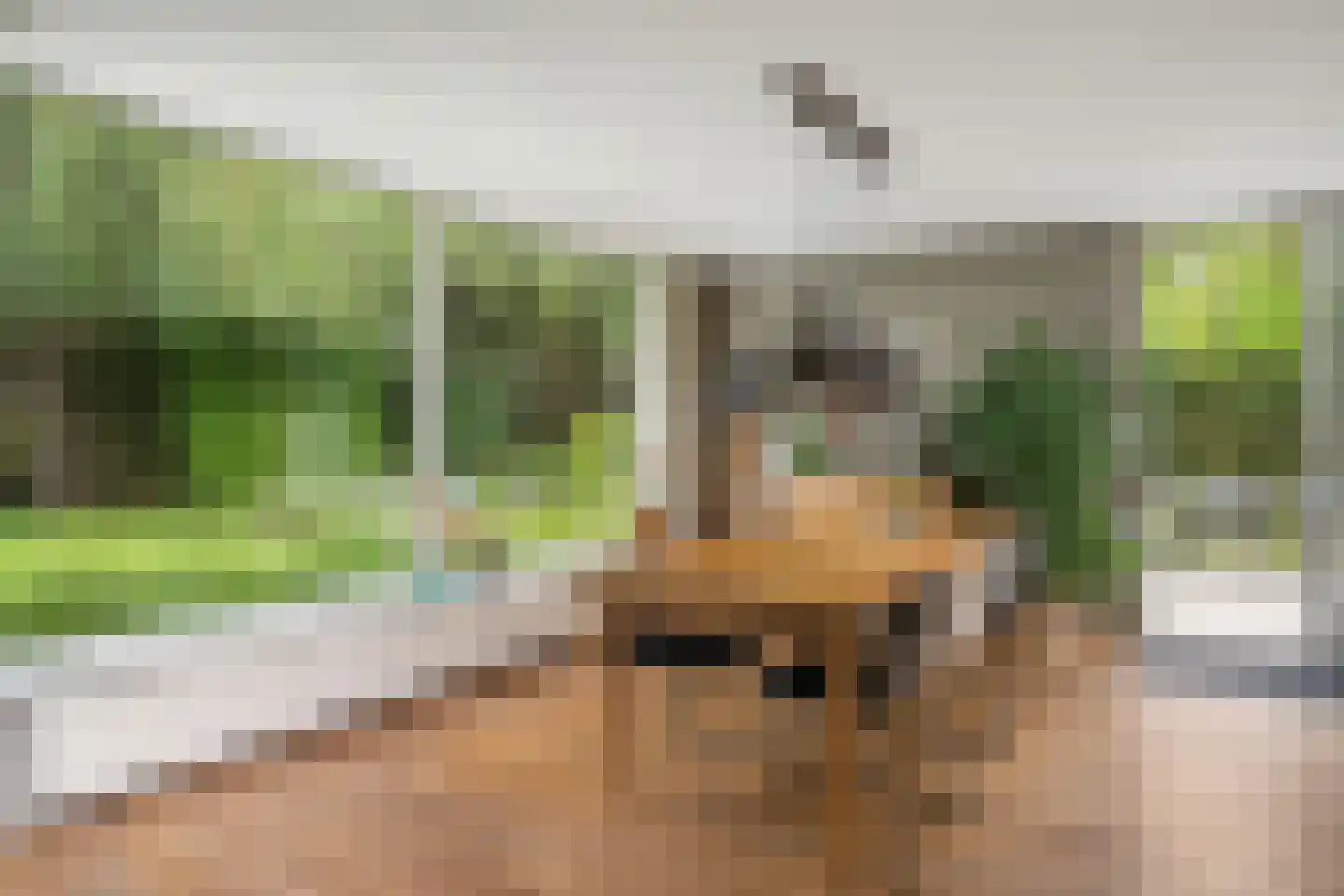 Ghijseland 173 Rhoon thumbnail 26
