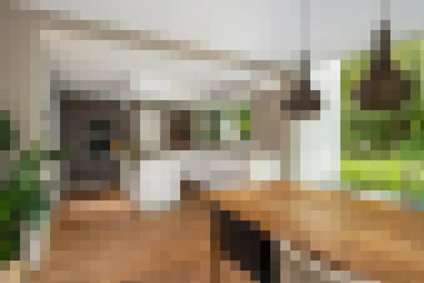Ghijseland 173 Rhoon thumbnail 27