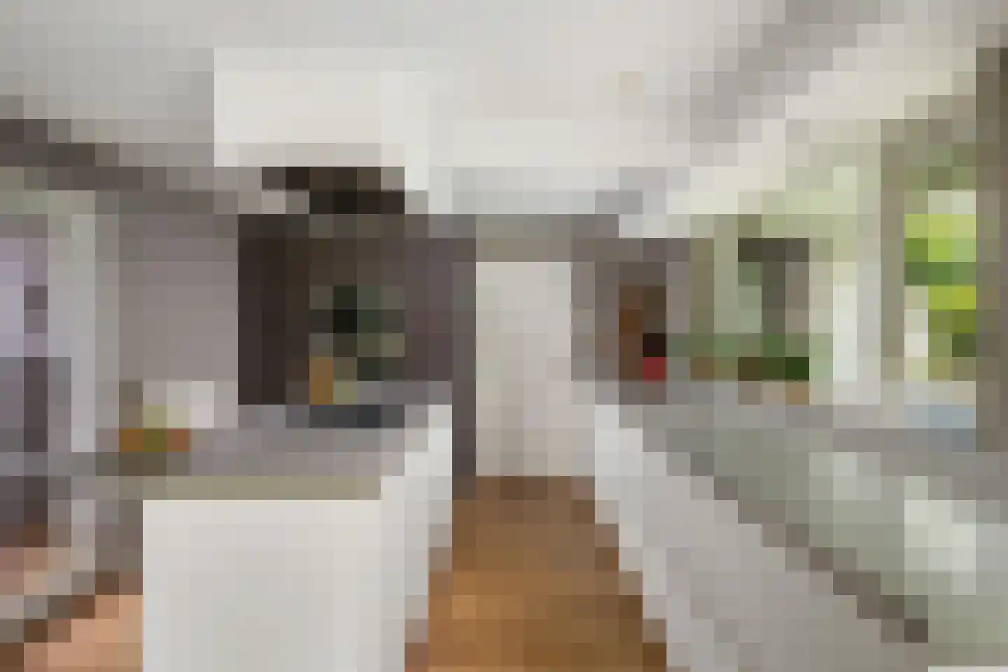 Ghijseland 173 Rhoon thumbnail 30