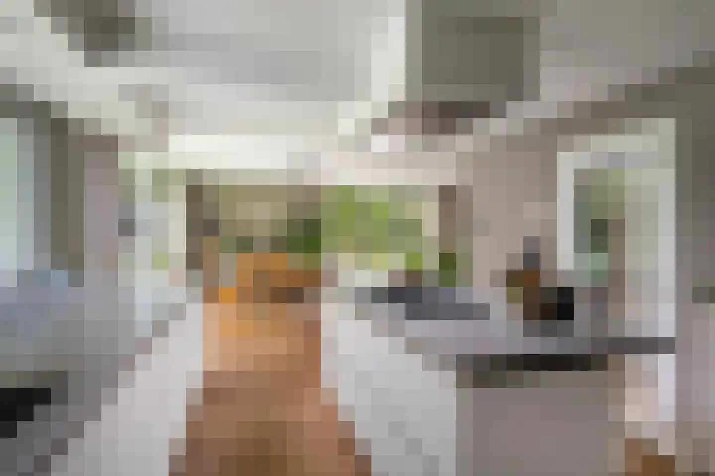 Ghijseland 173 Rhoon thumbnail 31
