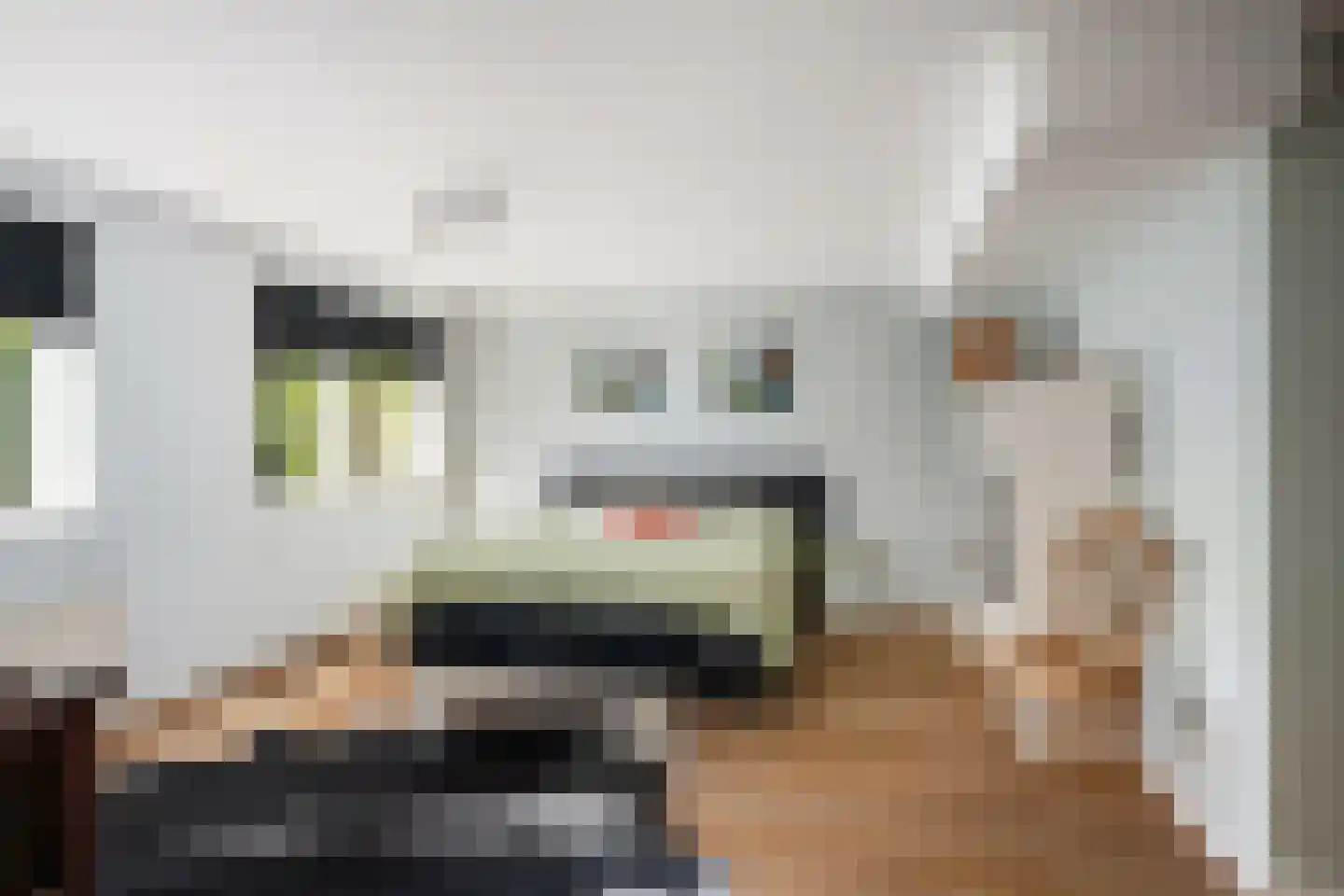 Ghijseland 173 Rhoon thumbnail 38