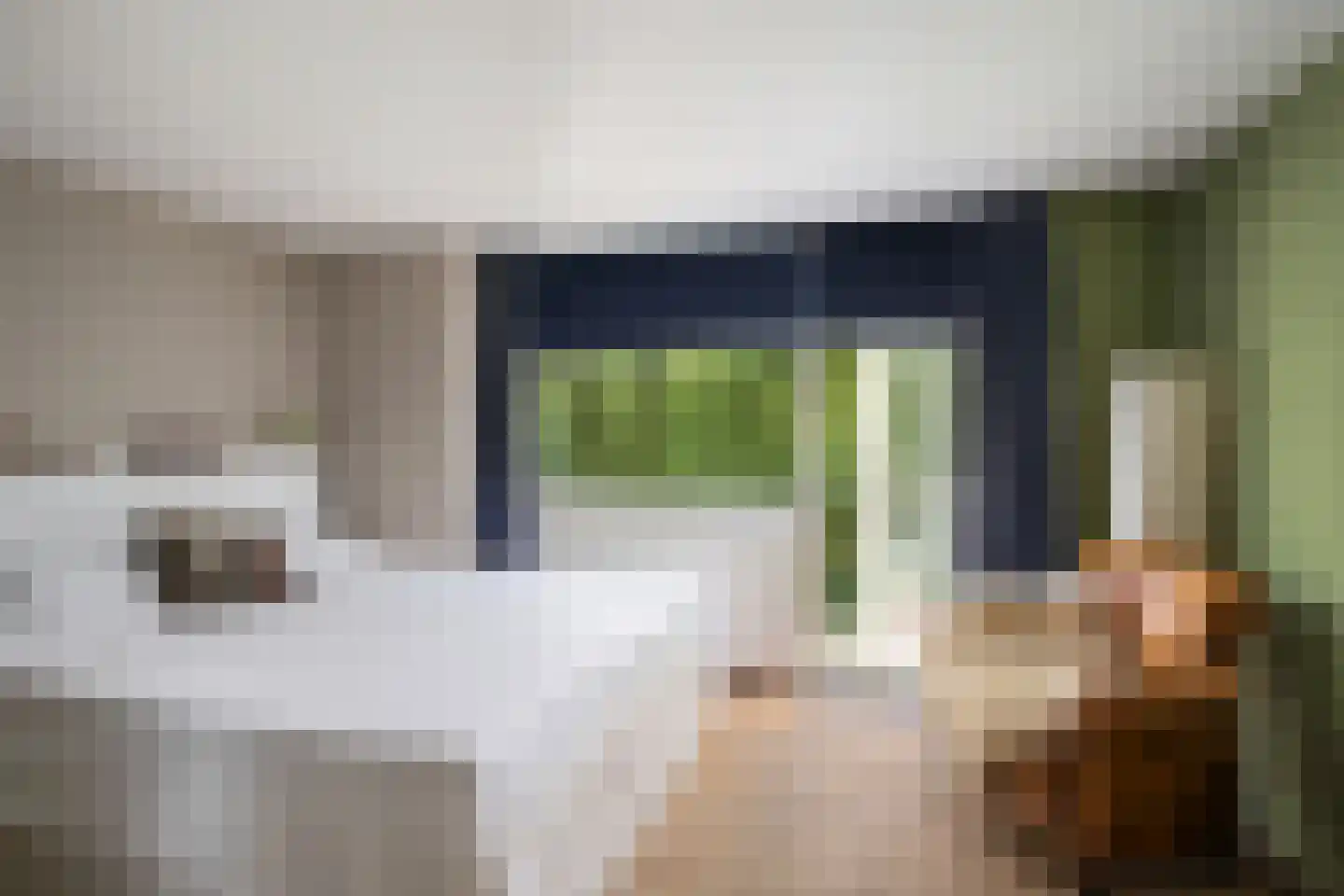 Ghijseland 173 Rhoon thumbnail 48