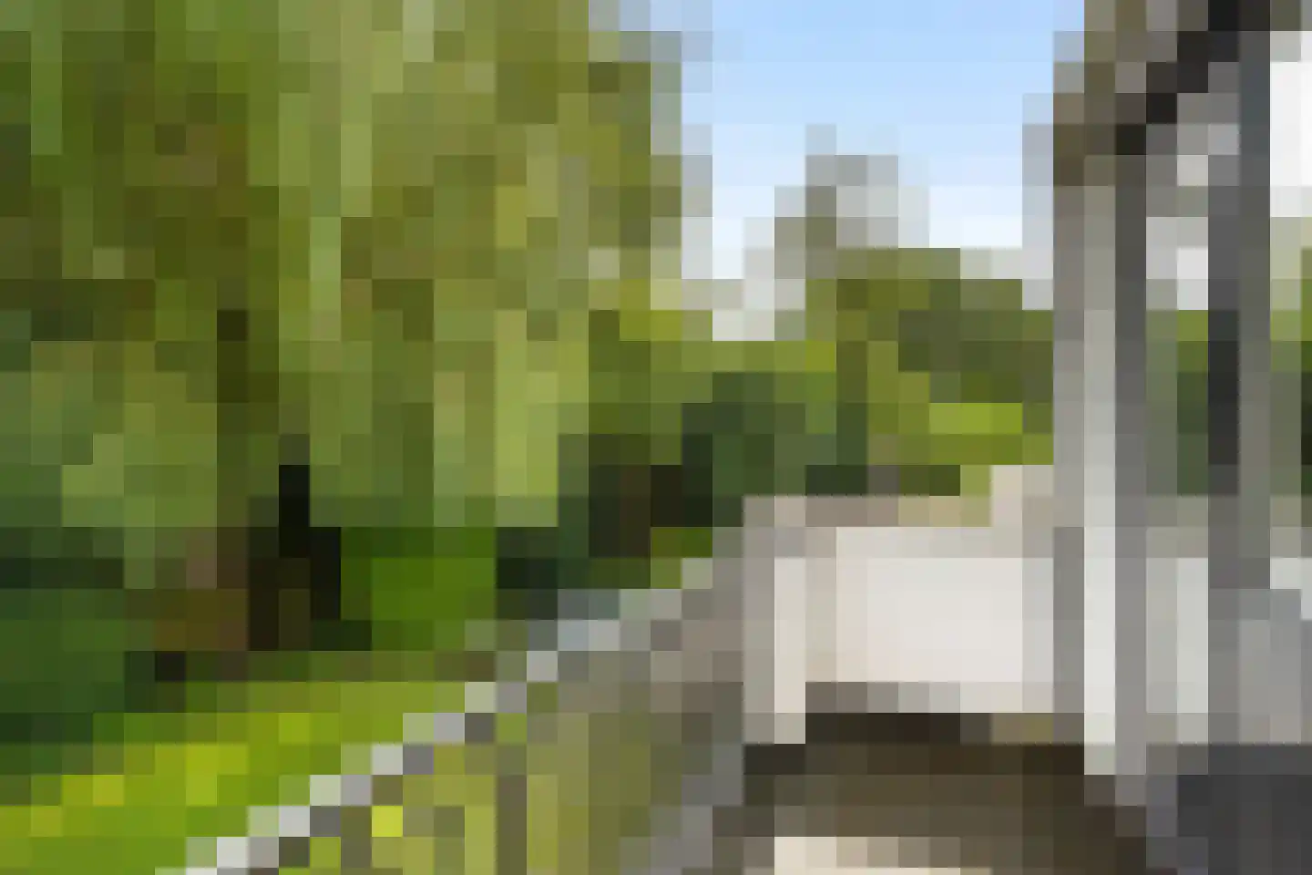 Ghijseland 173 Rhoon thumbnail 49