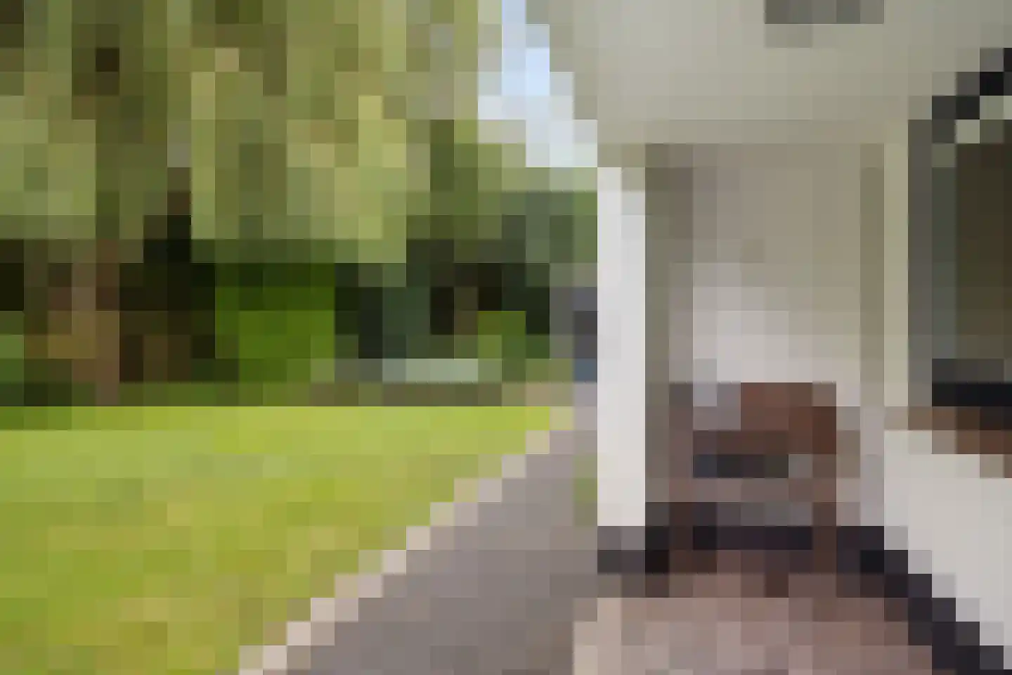 Ghijseland 173 Rhoon thumbnail 60