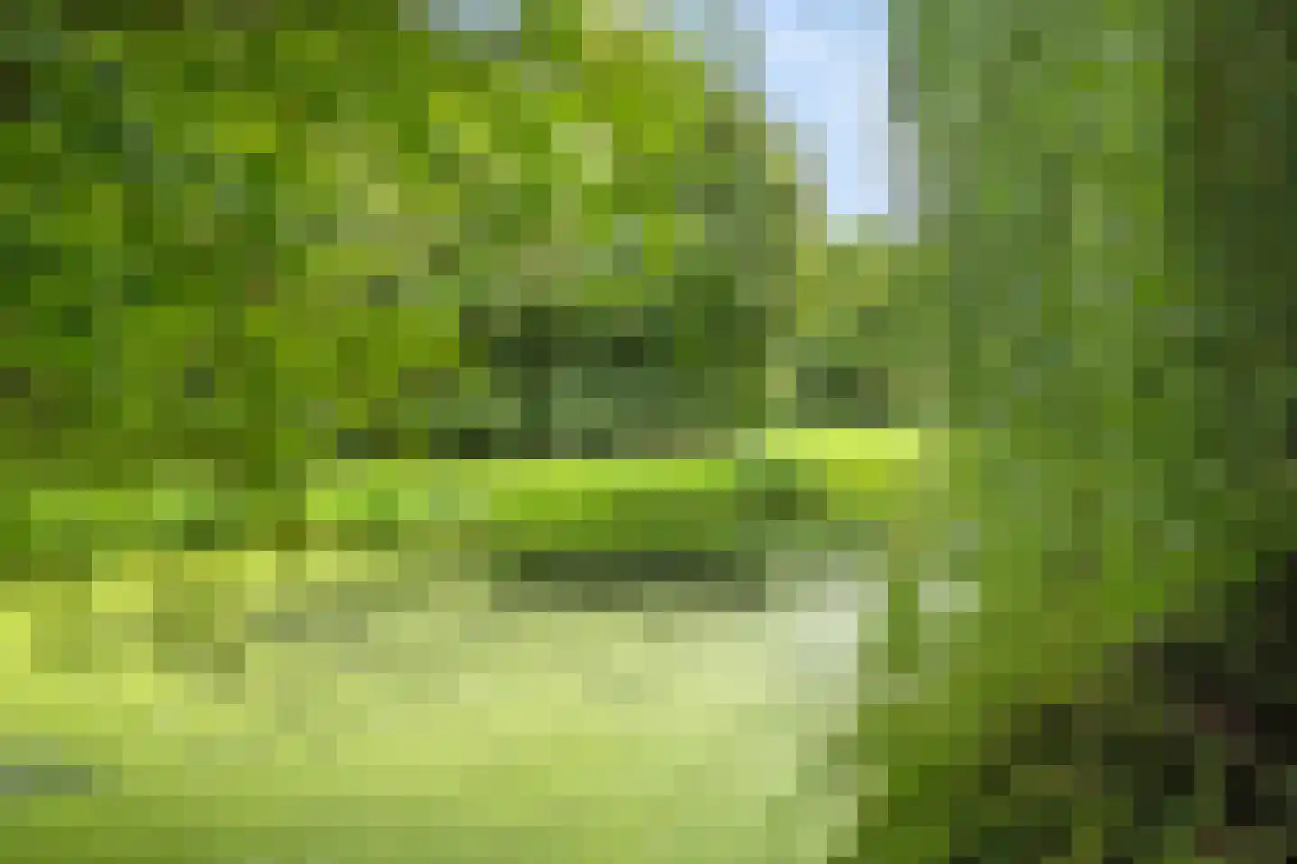 Ghijseland 173 Rhoon thumbnail 62