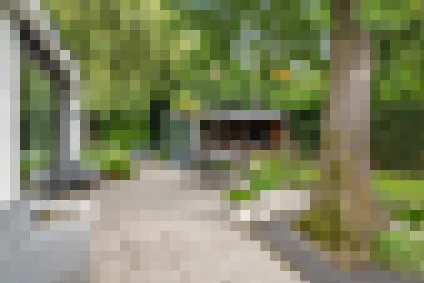 Ghijseland 173 Rhoon thumbnail 66