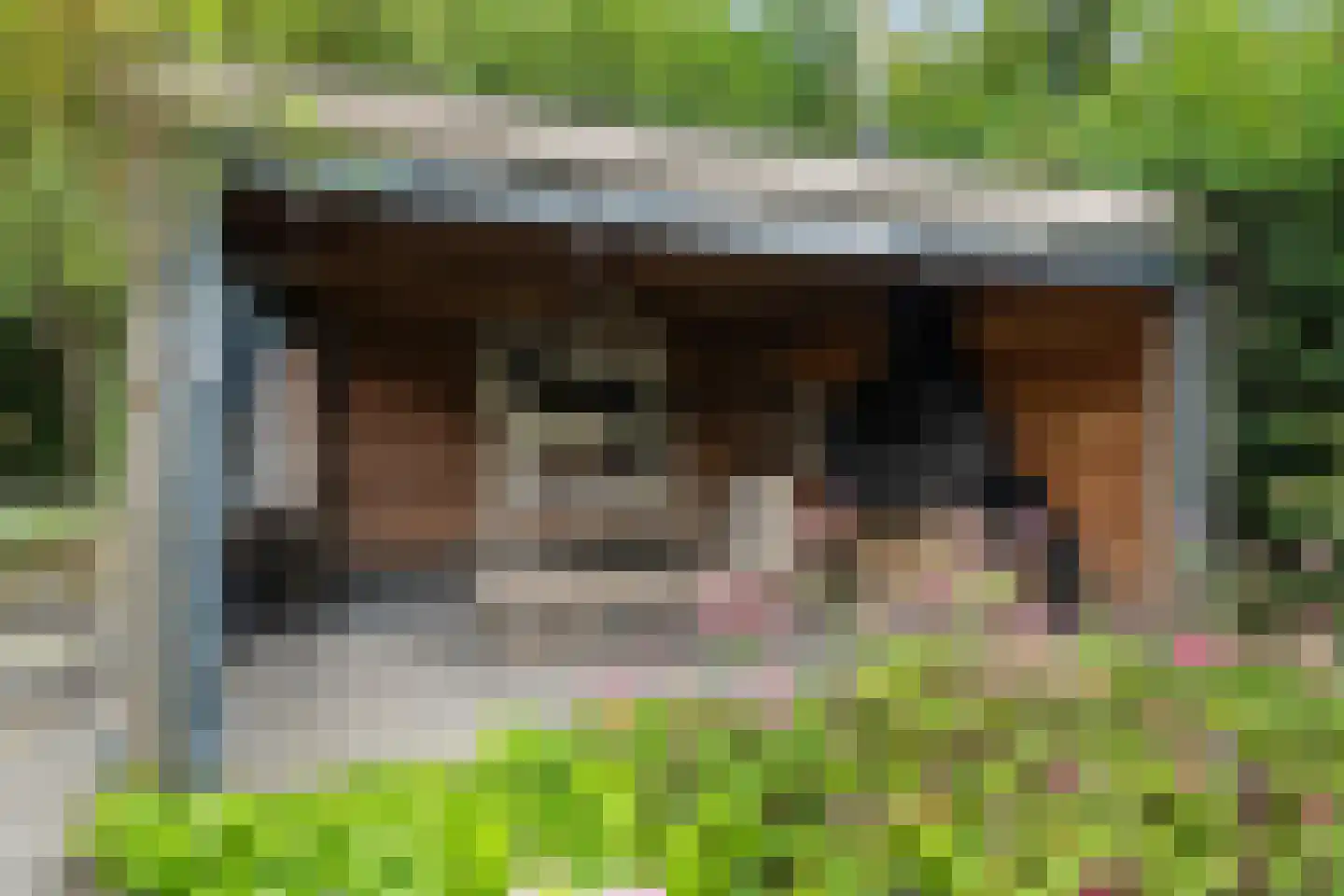 Ghijseland 173 Rhoon thumbnail 67