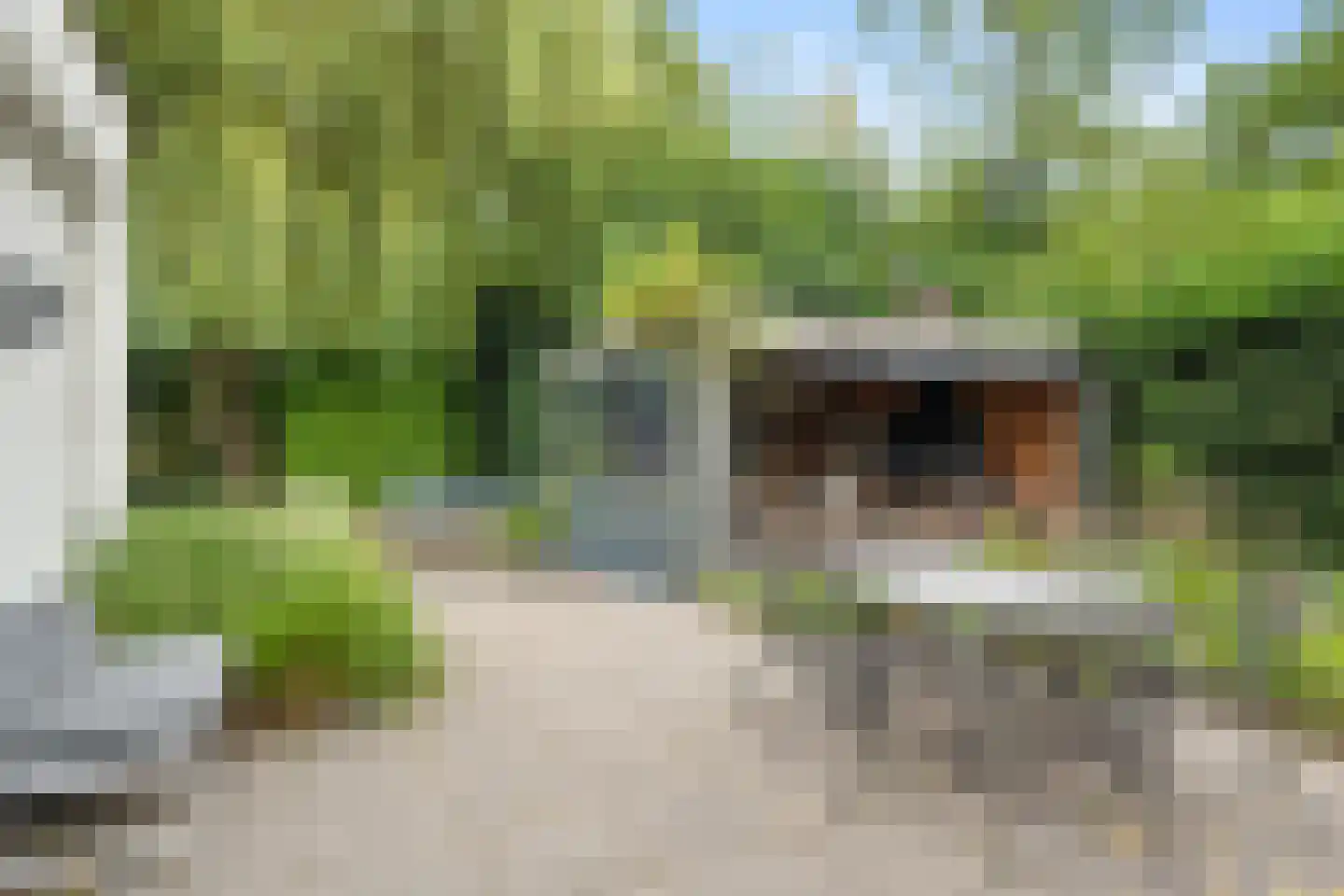 Ghijseland 173 Rhoon thumbnail 68