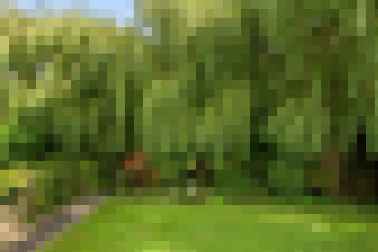 Ghijseland 173 Rhoon thumbnail 71