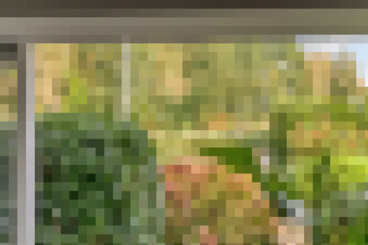 Ghijseland 226 Rhoon thumbnail 11