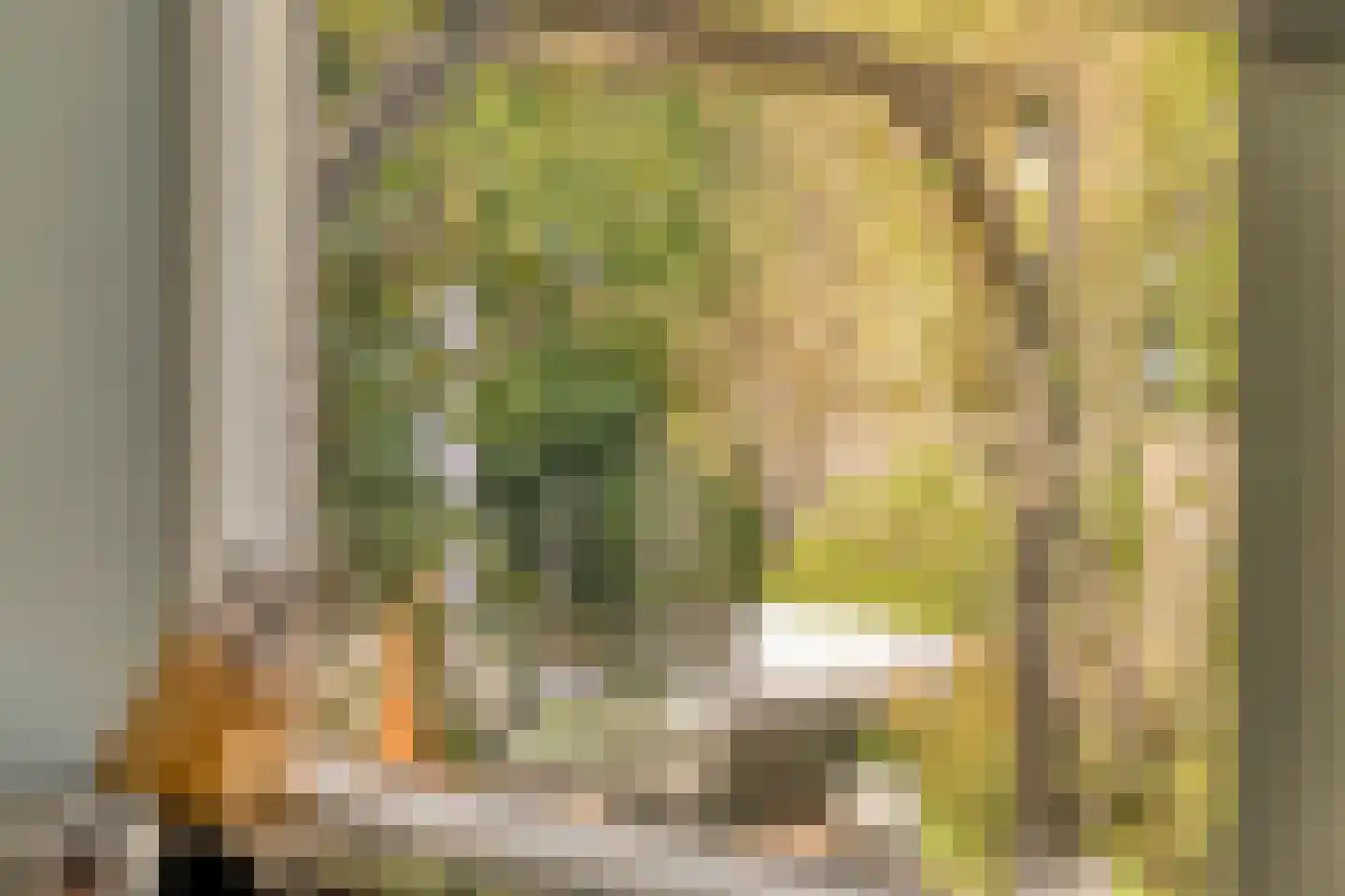 Ghijseland 226 Rhoon thumbnail 22