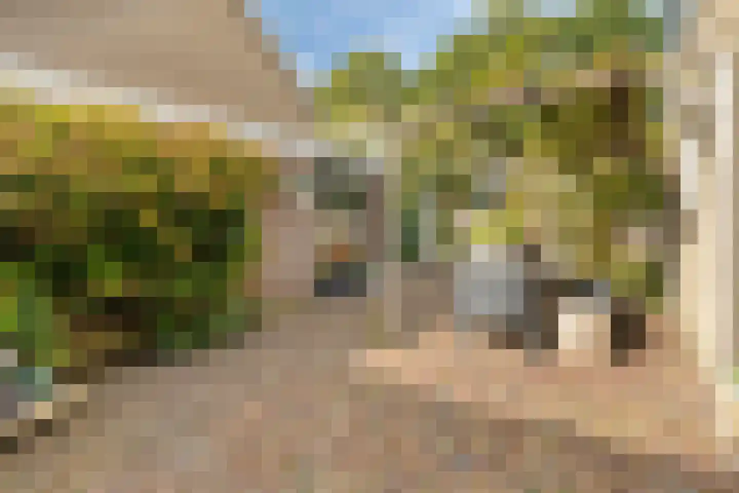 Ghijseland 226 Rhoon thumbnail 39