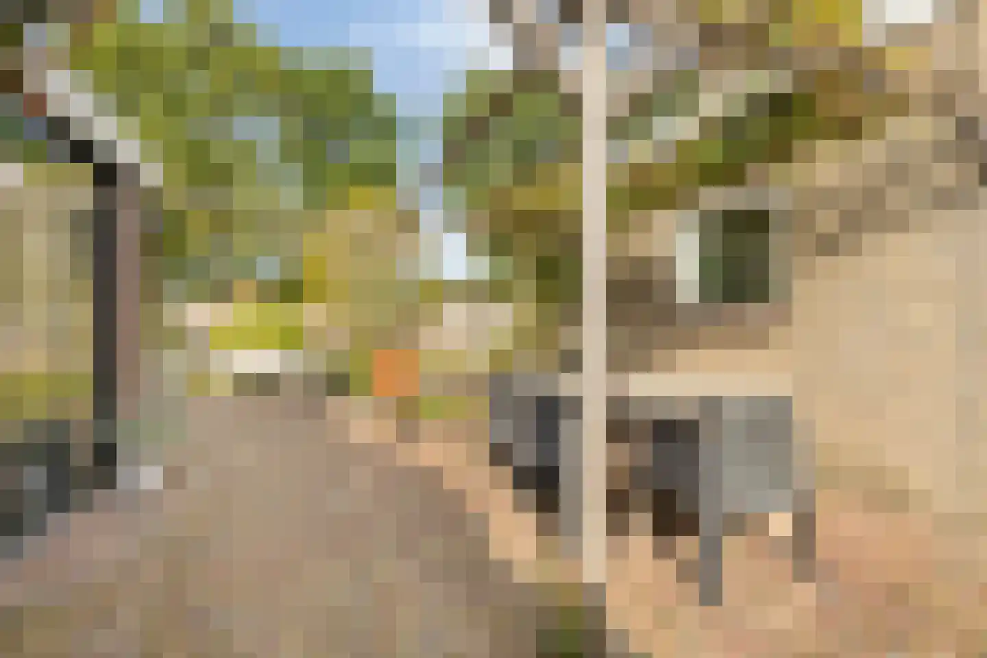 Ghijseland 226 Rhoon thumbnail 40