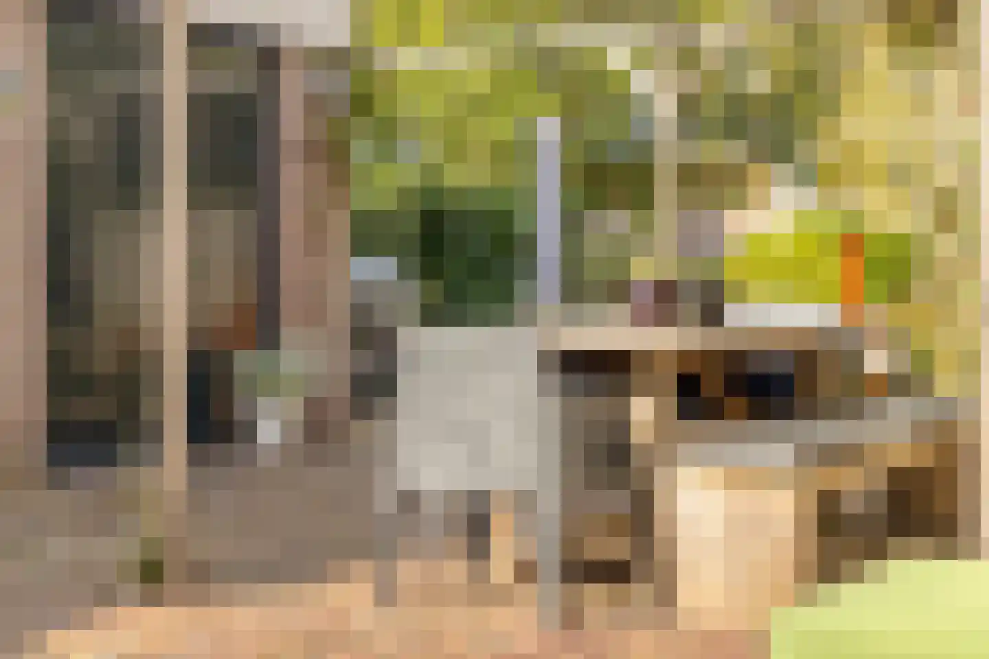 Ghijseland 226 Rhoon thumbnail 43